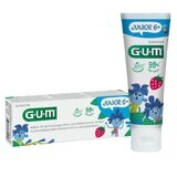 Sunstar Gum Junior, Zahnpasta, ab 6 Jahren, 50 ml