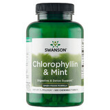 Swanson Chlorophyllin &amp; Mint, Peppermint Chlorophyll, 500 Chewable Tablets