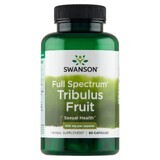 Swanson Vollspektrum Tribulus Frucht, Muskatblüte, 90 Kapseln