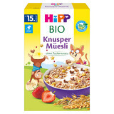 HiPP Musli Bio, Banane und Erdbeere, ohne Zuckerzusatz, ab 15 Monaten, 200 g