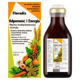 Floradix Immunität und Energie, 250 ml