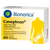 Canephron 18 mg + 18 mg + 18 mg, 60 irritated tablets