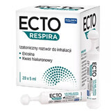 Ecto Respira, isotonische Lösung zur Inhalation, 5 ml x 20 Ampullen