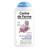 Corine de Farme, Glänzendes Shampoo, Disney Frozen II, 300 ml