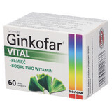 Ginkofar Vital, 60 Filmtabletten