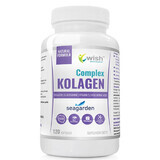 Wish Collagen Complex, 120 Kapseln