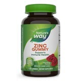 Zinc Gummy with Berry Flavor Zinc Gummy, 22 mg, 120 gummies, Secom