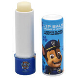 Lip balm for children Paw Patrol, 5 g, Take Care