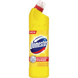 Domestos Bleichmittel Desinfektionsmittel Citrus, 750 ml