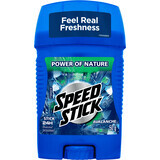 Mennen Speed Stick Avalanche solid deodorant, 50 g