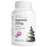 Magnesium 375mg B6, 120 Kapseln, Alevia