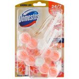 Domestos Aroma Lux Flor de Dalia y Fruta de Dragón WC bloc 2 x 55 g