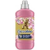 Coccolino Geißblatt Waschmittel 1,27 l