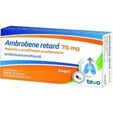 Ambrobene RETARD 75 mg cps plg 10 Kapseln