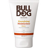 Bulldog Energising Moisturizer - Erfrischende Gesichtscreme 100 ml