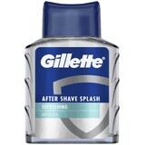 Gillette Serie Arctic Ice Aftershave 100 ml