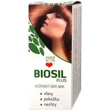 Naturvita Biosil Plus 60 tablets