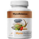 MycoMedica MycoBalance 90 Kapseln