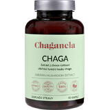 Chaganela Siberisch Chaga-extract 90 capsules