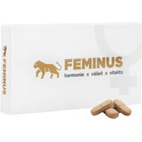 Feminus, 60 Tabletten