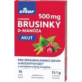 Vitar Kanadische Cranberry AKUT 15 Kapseln