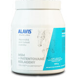 Alavis MSM + PATENTED COLAGENS für Pferde 600 g