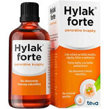 Hylak Forte Tropfen 30 ml