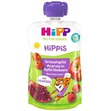 HiPP Bio HiPP BIO Hippis 100% Frucht Apfel-Malina-Apfel-Apfel-Acerola 100 g