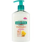 Sanytol Desinfizierende, pflegende Seife 250 ml