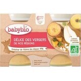 Babybio snack alla frutta mix di frutta 2 x 130 g