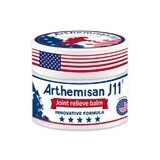 ASEPTA Arthemisan J11 - Gelenkbalsam 150 ml