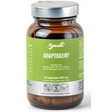 Adaptogen 50 Kapseln Panaseus