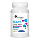 PQQ MGCPQQ® 20 mg + Coenzym Q10 50 mg (60 Kapseln) Aliness