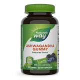 Ashwagagandha Gummibärchen, 125 mg, 90 Stück, Beere, Nature's Way