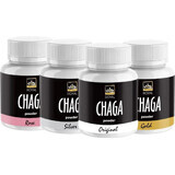 Royal Chaga Siberian Chaga Powder Extract 1×90g, food supplement