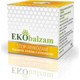 EKObalm PLESNE 1×50 ml, balsamo (contro micosi, muffe, funghi e lieviti)