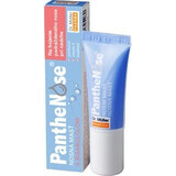 Dr. Müller PantheNose NOSE NOSE Ointment 1×7.5 ml for nasal relaxation