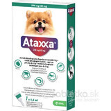 Ataxxa 200 mg/40 mg (Hunde bis zu 4 kg) 1×0,4 ml, Lösung für Hunde