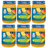 Gerber Dessert-Set, tropische Früchte mit Tapioka, nach 6 Monaten, 6 x 190 g