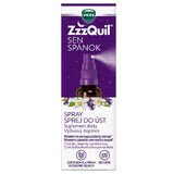 ZzzQuil Sleep, spray, 30 ml