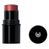 Dr. Hauschka, blush stick, 02 red, 6.1 g