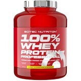 SciTec Nutrition 100% proteine del siero di latte Professional lemon cheesecake 2350 g