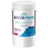 Vitar Veterinae Artivit Forte powder mix 600 g