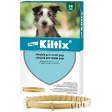 Kiltix Halsband für kleine Hunde Umfang 38 cm