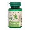 Boswellia, 60 Tabletten, Dacia Plant