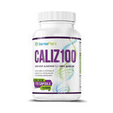 Caliz 100, 120 capsule, DarmaPlant