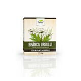 Bärentraube Tee, 50 g, Dorel Plant
