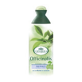 Gel de dus purifiant L'Angelica Officinalis, 250 ml, Coswell