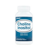 Cholin 250 mg und Inositol 250 mg (012767), 100 Tabletten, GNC