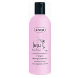 Ziaja Jeju Pink - Sampon pentru utilizare zilnica 300 ml